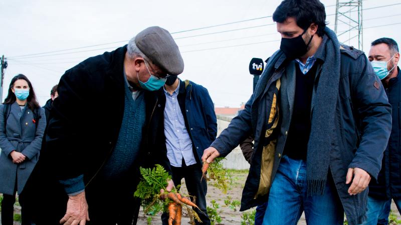 Visita a exploração agrícola, Vagos