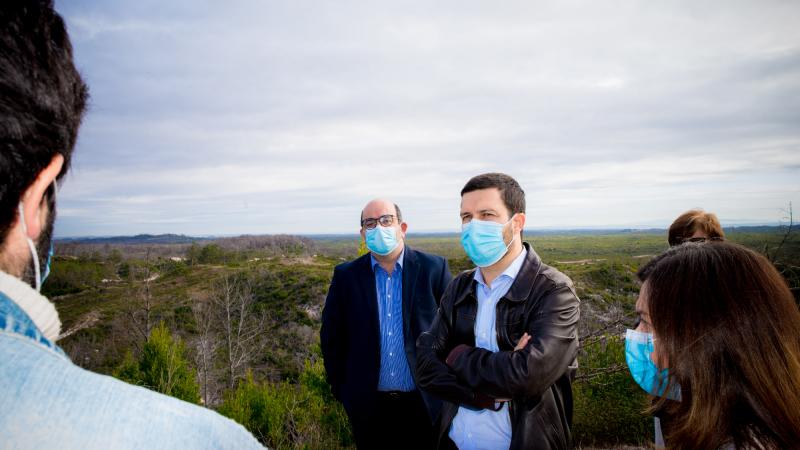 Visita ao Pinhal de Leiria