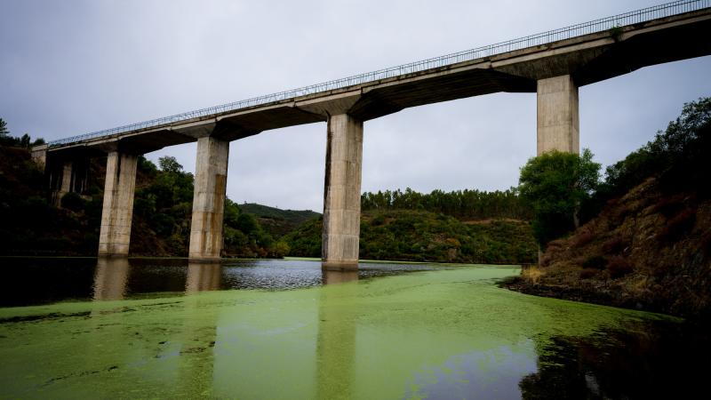 Visita ao Tejo Internacional, Lentiscais