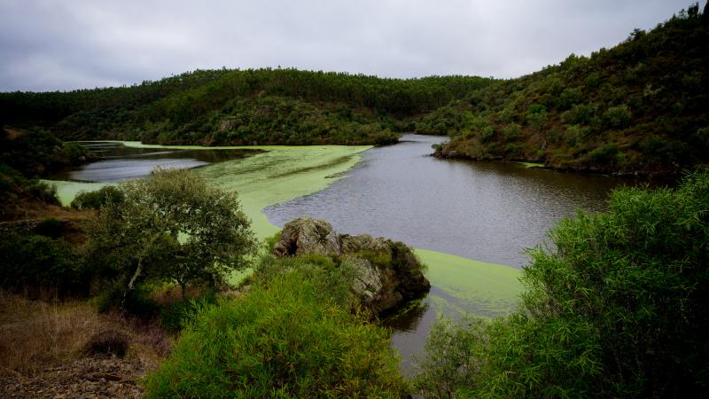 Visita ao Tejo Internacional, Lentiscais