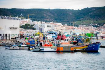 Declaração de João Ferreira sobre a situação das pescas