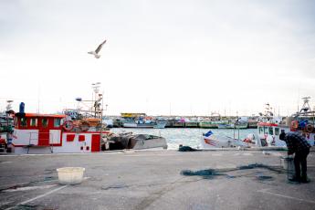 Declaração de João Ferreira sobre a situação das pescas