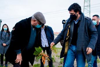 Visita a exploração agrícola, Vagos