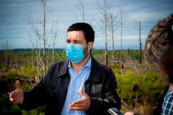 Visita ao Pinhal de Leiria