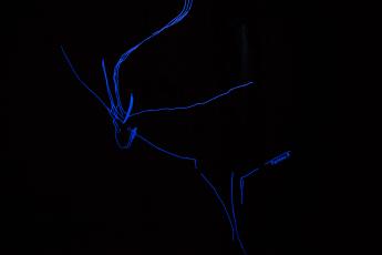 Visita ao Museu do Foz Côa