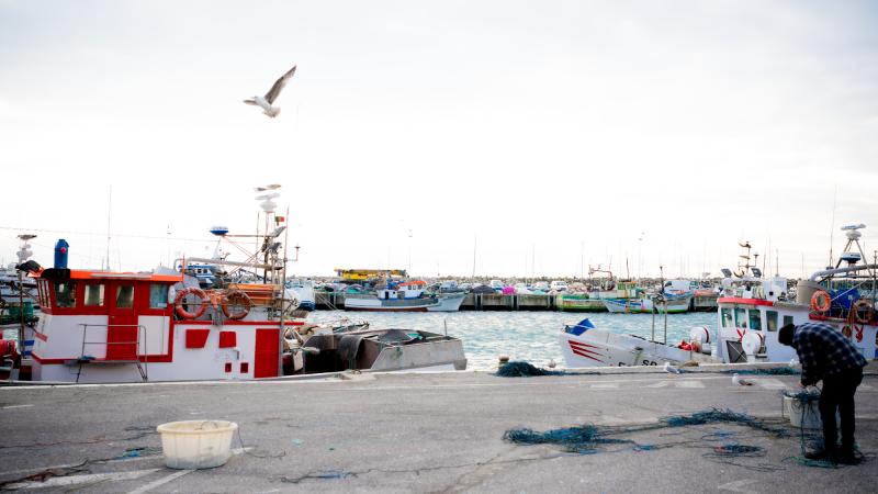 Declaração de João Ferreira sobre a situação das pescas