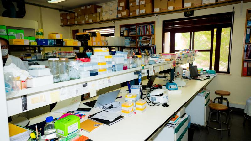 Visita ao Centro de Ciências do Mar da Universidade do Algarve, Faro, Campo das Gambelas