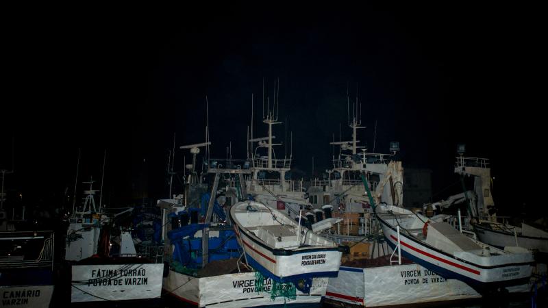 Encontro com Pescadores no Porto de Pesca da Póvoa de Varzim