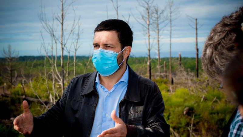 Visita ao Pinhal de Leiria