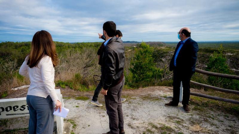 Visita ao Pinhal de Leiria