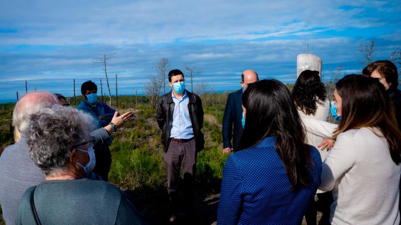 Visita ao Pinhal de Leiria