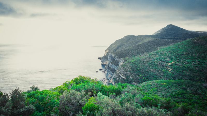Visita ao Parque Natural da Arrábida