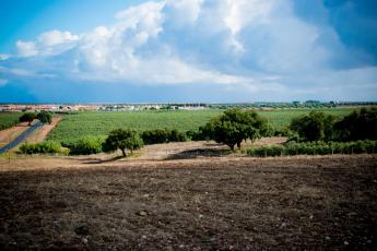 Visita à Villa Romana de Pisões