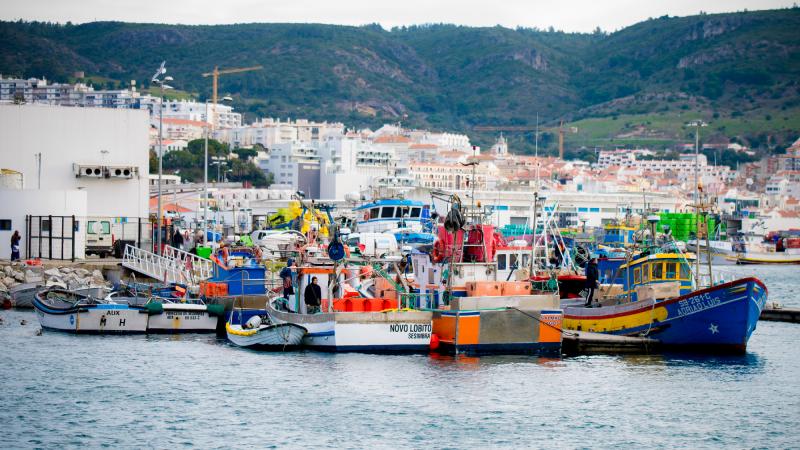 Declaração de João Ferreira sobre a situação das pescas