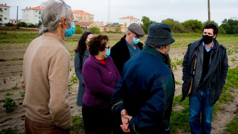 Visita a exploração agrícola, Vagos